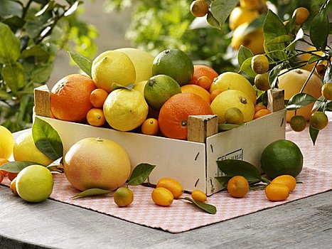 种类,柑橘,收件箱