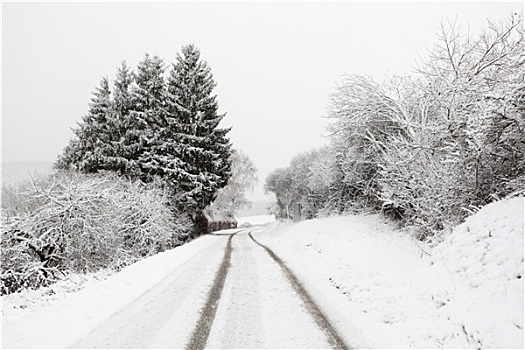 积雪,乡间小路,冬天