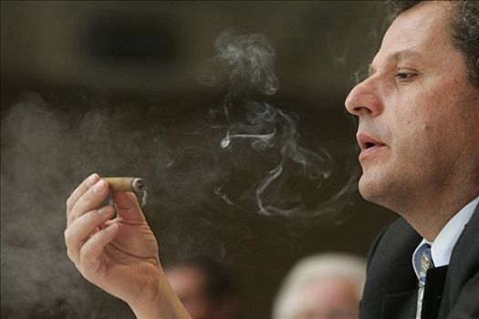 海德尔堡,2005年,雪茄,吸烟,周年纪念,会面,烟草,农民,巴登