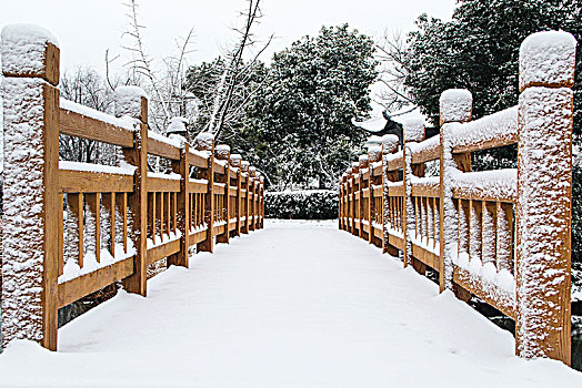 公园雪景