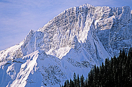 国家公园,不列颠哥伦比亚省,加拿大,山峦,冬天,雪,树