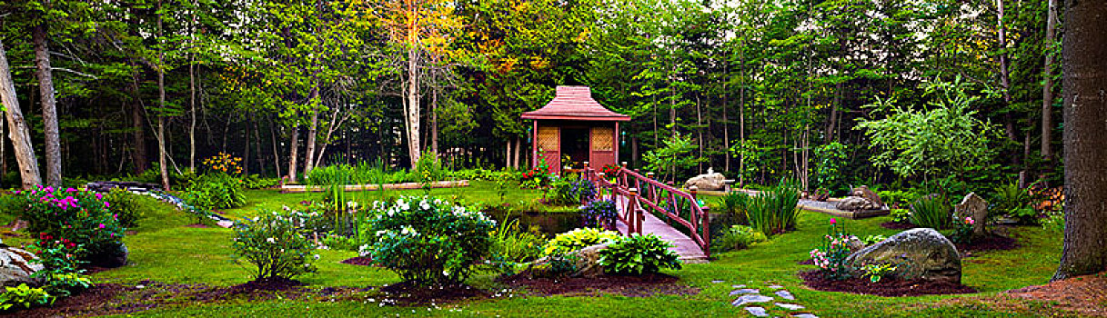 花园,红色,木质,建筑,植物,树,魁北克,加拿大