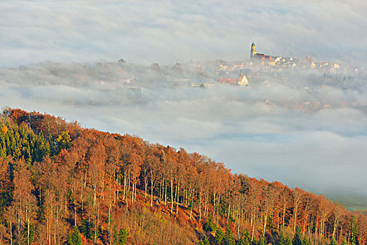 靠近,早晨,薄雾,秋天,巴登符腾堡,德国,欧洲
