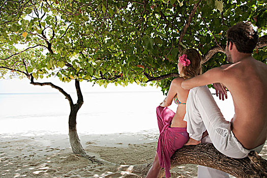 坐,夫妇,树上,海滩
