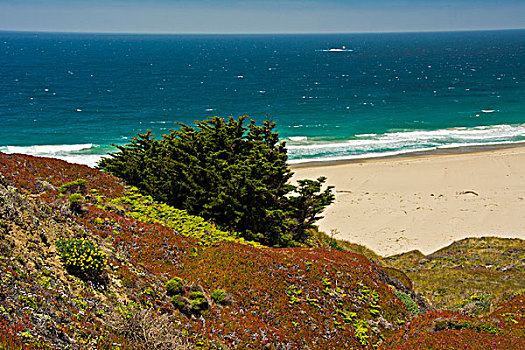 海滩风景,大,加利福尼亚,美国