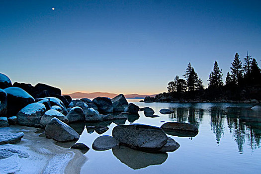 反射,树,湖,太浩湖,内华达,加利福尼亚,美国