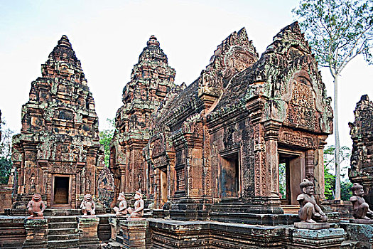 雕塑,庙宇,女王宫,吴哥,收获,柬埔寨