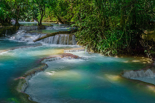 老挝,瀑布,雨林,丛林