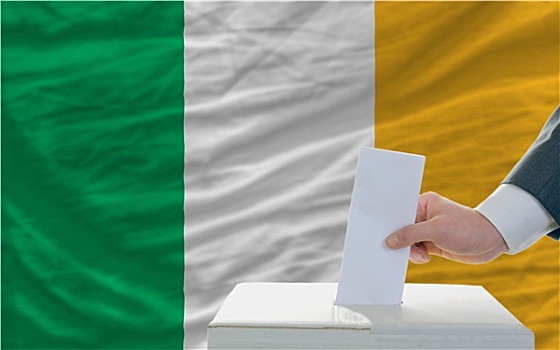 男人,投票,选举,爱尔兰,正面,旗帜