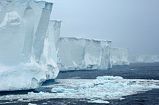 南极,靠近,大象,岛屿,扁平,冰山,块,2000年,十一月,2007年