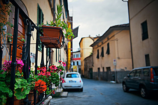 卢卡,街道,风景,花,意大利