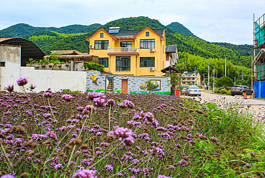 小院,院落,民宿