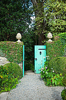 绿色,大门,入口,花园,国家公园,多纳格,爱尔兰