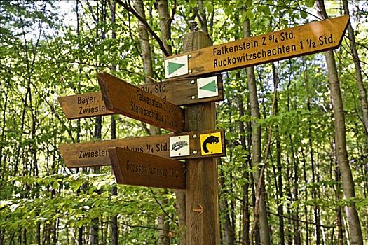 路标,国家公园,巴伐利亚森林,下巴伐利亚,德国