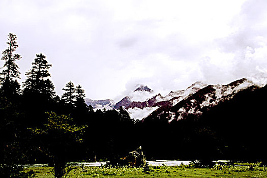 河流云山树林