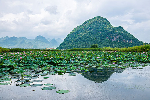 云南省文山州丘北县普者黑景区