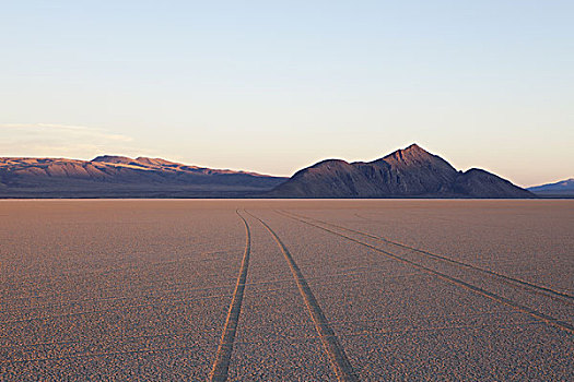 轮胎,干盐湖,盐磐,表面,黑岩沙漠,内华达