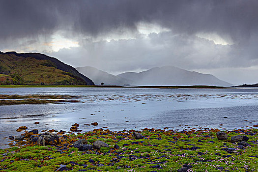 积雨云,上方,草,海岸线,苏格兰,海岸,靠近,艾琳多南古堡
