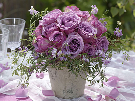 花束,紫色,芳香,玫瑰,皇冠,蔓藤,草地