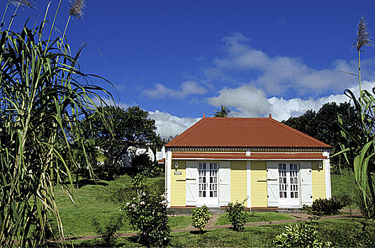 传统,房子,留尼汪岛