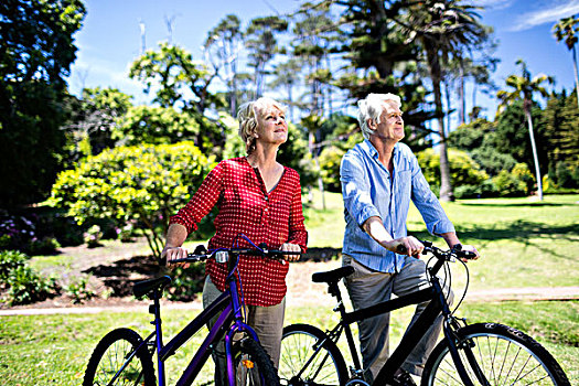老年,夫妻,走,自行车,公园,晴天