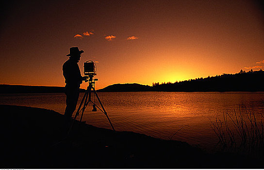 剪影,人,照相,夕阳湖,树