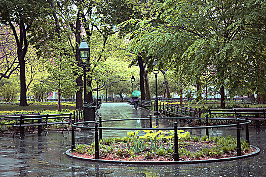 小路,公园,区域,湿,白天,曼哈顿,纽约,美国