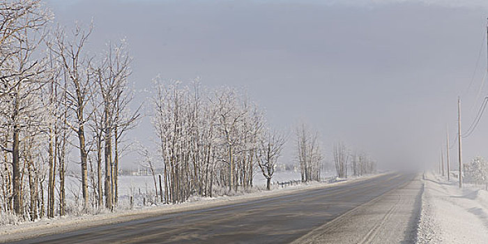 公路,通过,积雪,风景,不列颠哥伦比亚省,加拿大