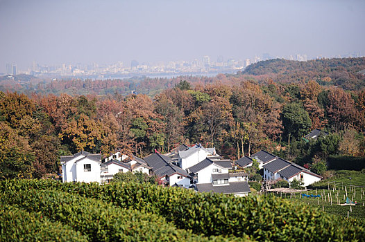 秋天的茅家埠山里