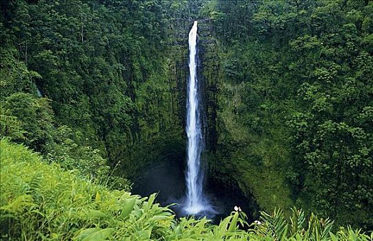 瀑布,夏威夷大岛,夏威夷,美国,北美