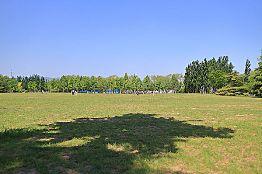 海淀公园