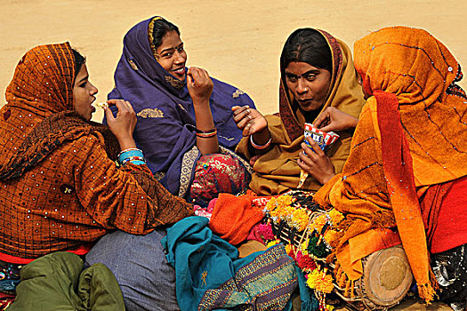 多样,民族舞,拿,靠近,德里,工艺品,很多,有趣,北印度,印度,二月,2008年