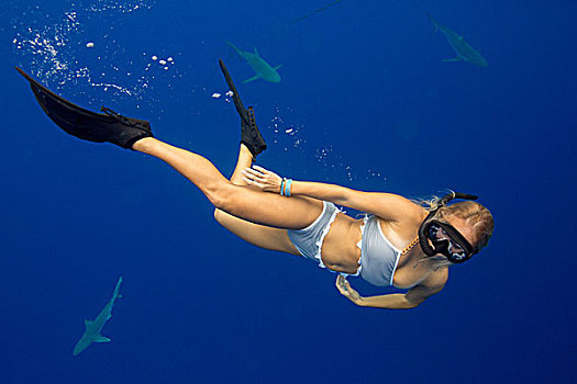 水下视角,女人,潜水,海洋生物,瓦胡岛,夏威夷,美国