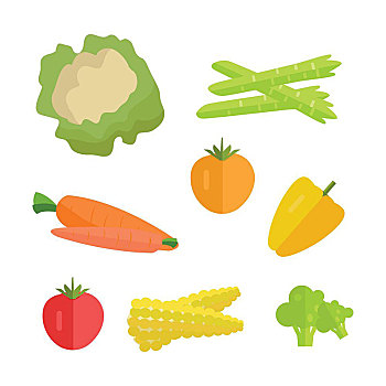 蔬菜,矢量,设计,胡萝卜,西红柿,胡椒,红辣椒,玉米,花椰菜,芦笋,插画,概念,旗帜,象征,隔绝,白色背景,背景