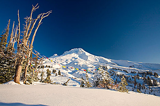 冬季风景,日出,胡德山,俄勒冈,美国