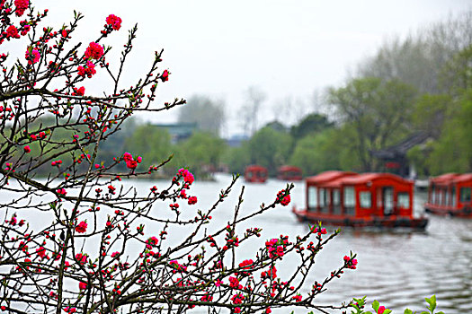 扬州,瘦西湖,楼台亭阁,花红柳绿,0052