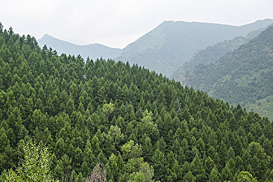 文殊菩萨道场图片