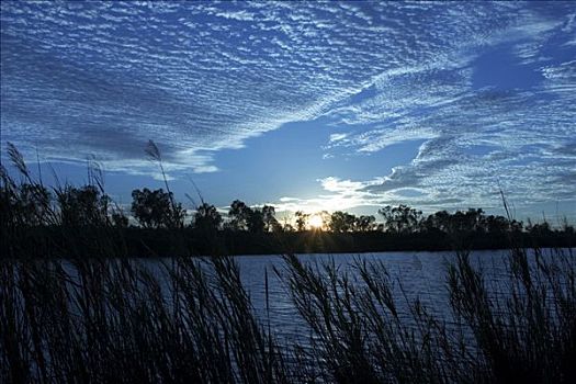 日出,深,水池,国家公园,区域,西澳大利亚