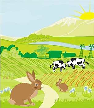 母牛,兔子,绿色,草地