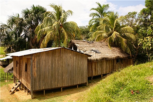 秘鲁,亚马逊,风景,照片,展示,特色,部落,住宅区,亚马逊河