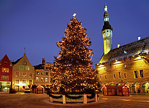 夜景,城镇,圣诞节,树,世界遗产,塔林,爱沙尼亚,欧洲