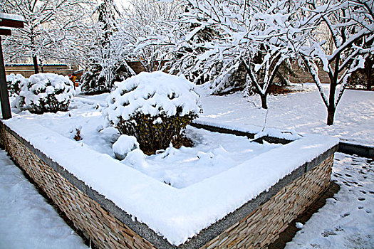 大雪后白雪的花坛