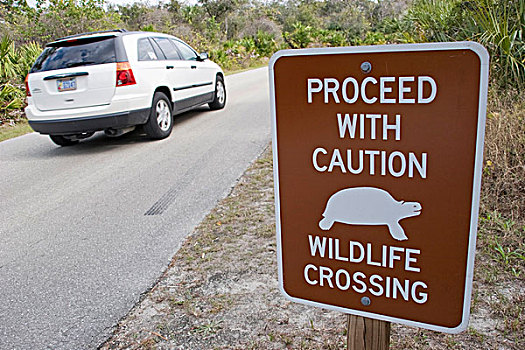 交通标志,野生动物,州立公园,佛罗里达,美国