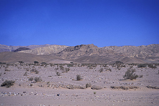 约旦,靠近,旱谷,荒漠景观