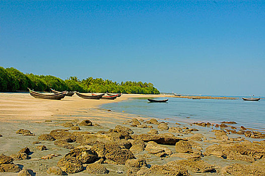 海洋,海滩,圣徒,岛屿,市场,只有,孟加拉,一个,著名,旅游胜地,小岛,东北方,湾