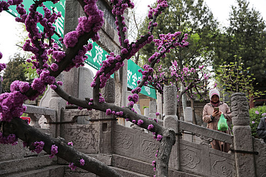 西安清真大寺