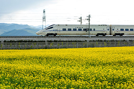 田园风光