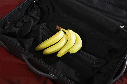 香蕉,手提箱