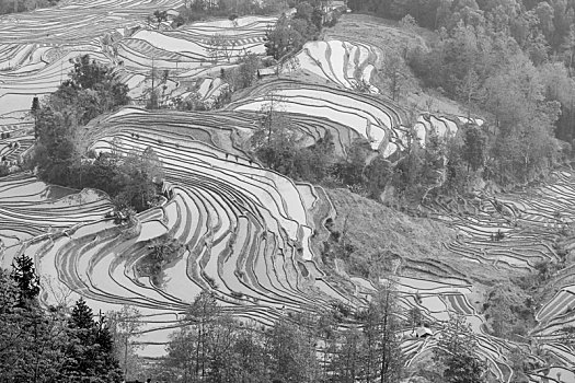 哀牢山哈尼梯田风光