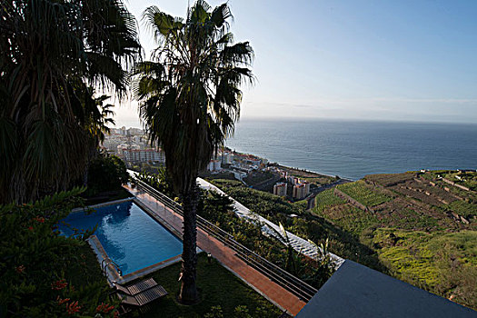 游泳池,风景,上方,丰沙尔,马德拉岛,葡萄牙